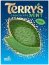 Terry's - Chocolate Mint Milk 145 g