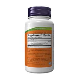 NOW Foods - Andrographis Extract - 90 Veg Capsules