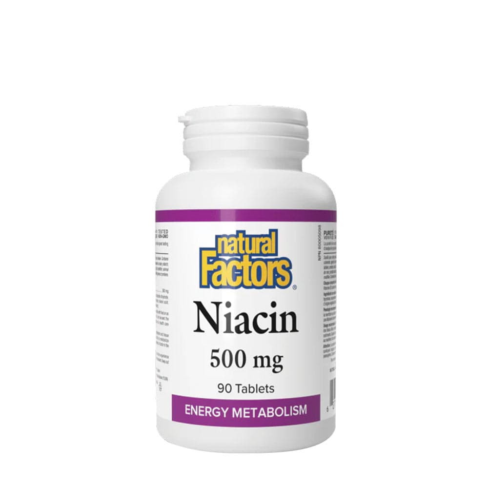 Natural Factors Niacin 500mg - 90 Tabs – Natural Factors förpackning