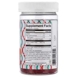 Swanson - Apple Cider Vinegar Gummies - Strawberry Watermelon, 60 Gummies
