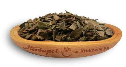 Herbapol Kraków - Lady's Mantle Leaf 50g