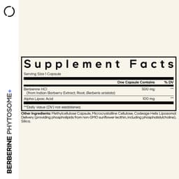 Codeage Berberine Phytosome+ - 60 Vcaps - 60 Vegetable Caps