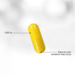Codeage Berberine Phytosome+ - 60 Vcaps - 60 Vegetable Caps