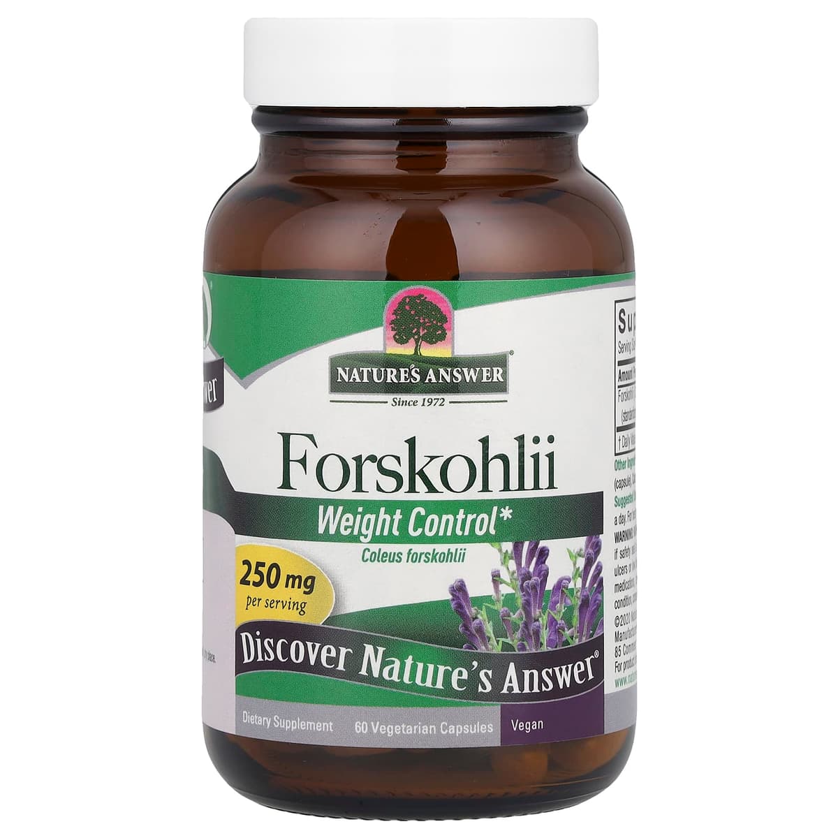 Nature's Answer - Forskohlii Painonhallinta - 60 Vcaps