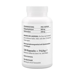 Vitaworld - Hyaluronic Acid 100 + Collagen 400 - 120 Caps
