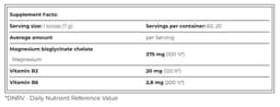 Amix - Magnechel Magnesium Drink - 420g