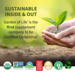 Garden Of Life - Vitamin Code Raw Zinc - 60 Vcaps