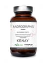 Kenay - Andrographis Paractin - 60 Caps