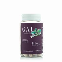 GAL - Lemon Balm Extract & L-Theanine Caps - 60 vegan capsules