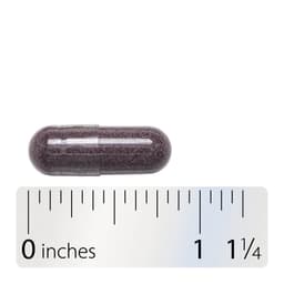 Nature'S Way - Bilberry Premium Extract - 60 Caps