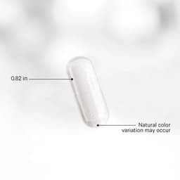 Codeage Glp-1 Probiotic+ - 90 Vcaps - 90 Vegetable Caps