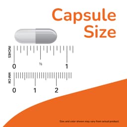 NOW Foods - Acetyl-L-Carnitine 100 Veg Capsules