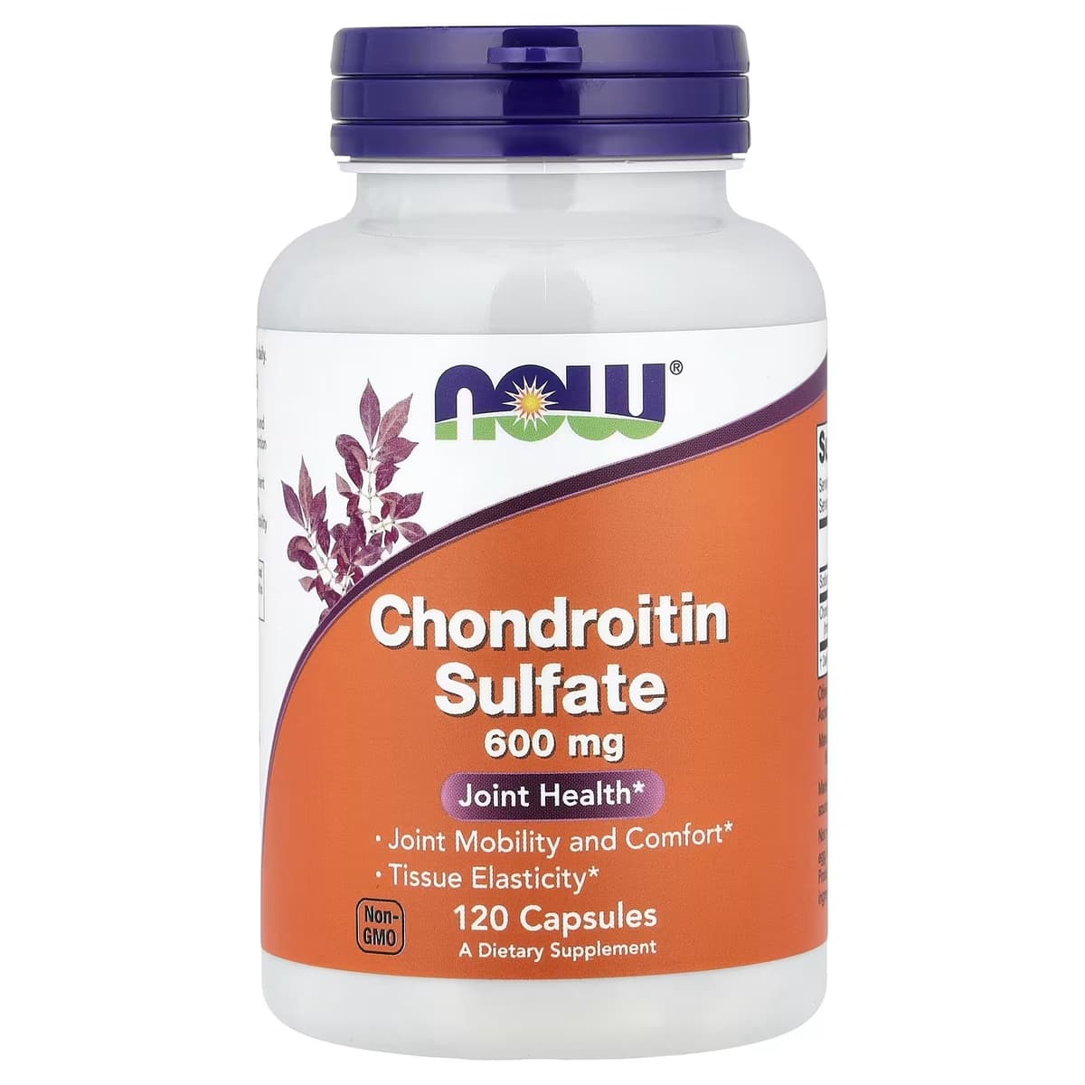 NOW Foods - Chondroitin Sulfate - 120 Caps