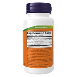 NOW Foods - Pine Bark Extract - 240mg - 90 Vcaps