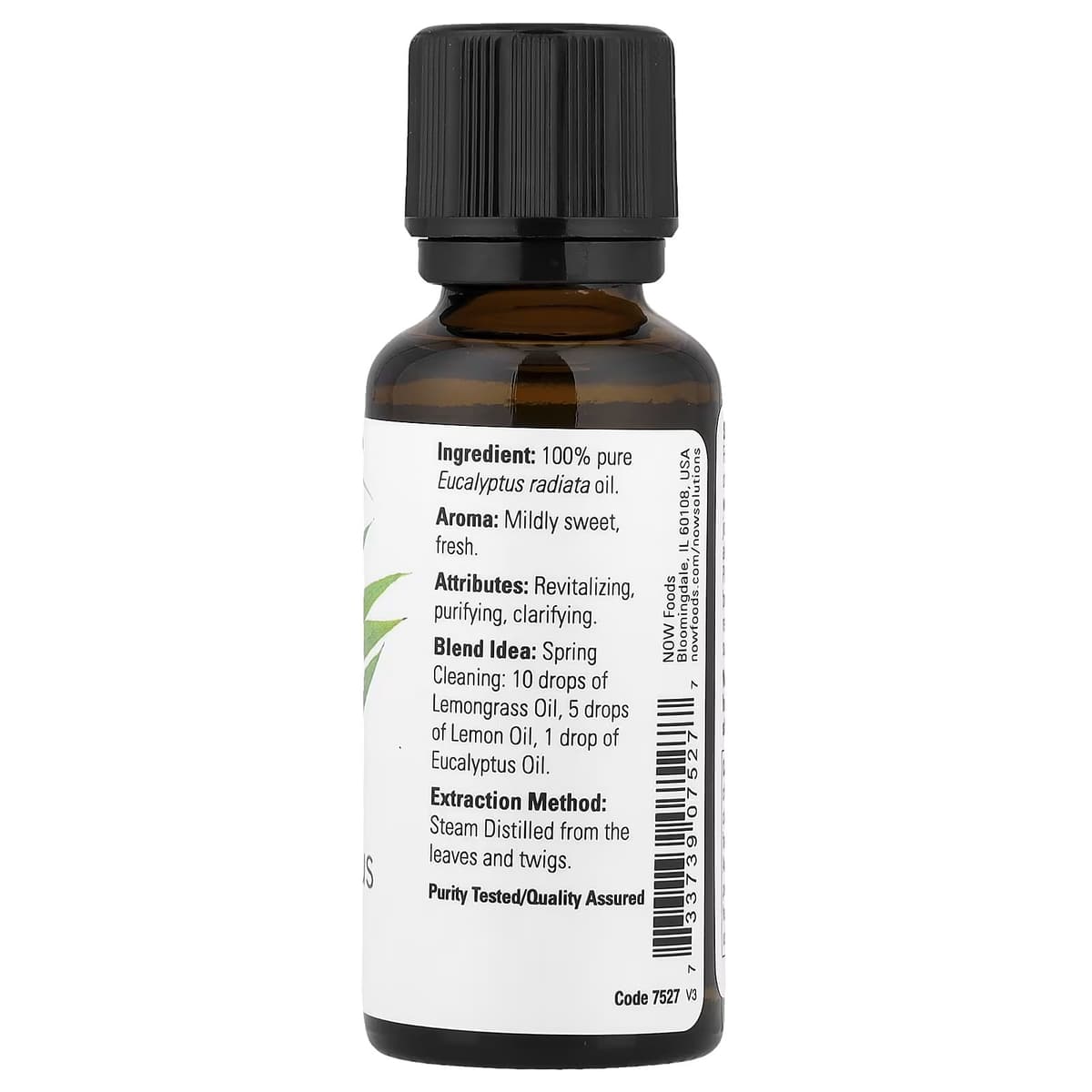 NOW Foods - Eukalyptus Radiata Öljy - 30ml
