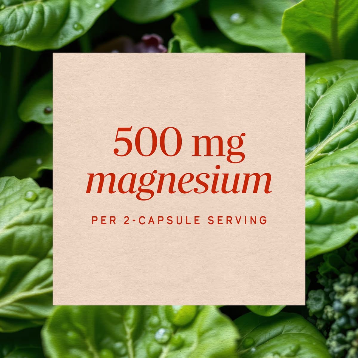 Nature'S Way - Magnesium Complex - 100 Caps