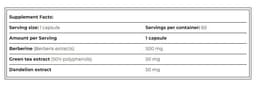 Amix - Berberine HCL With Green Tea & Dandelion - 60 Caps