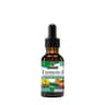 Nature's Answer - Turmeric-3 Standardized Extract - 30ml