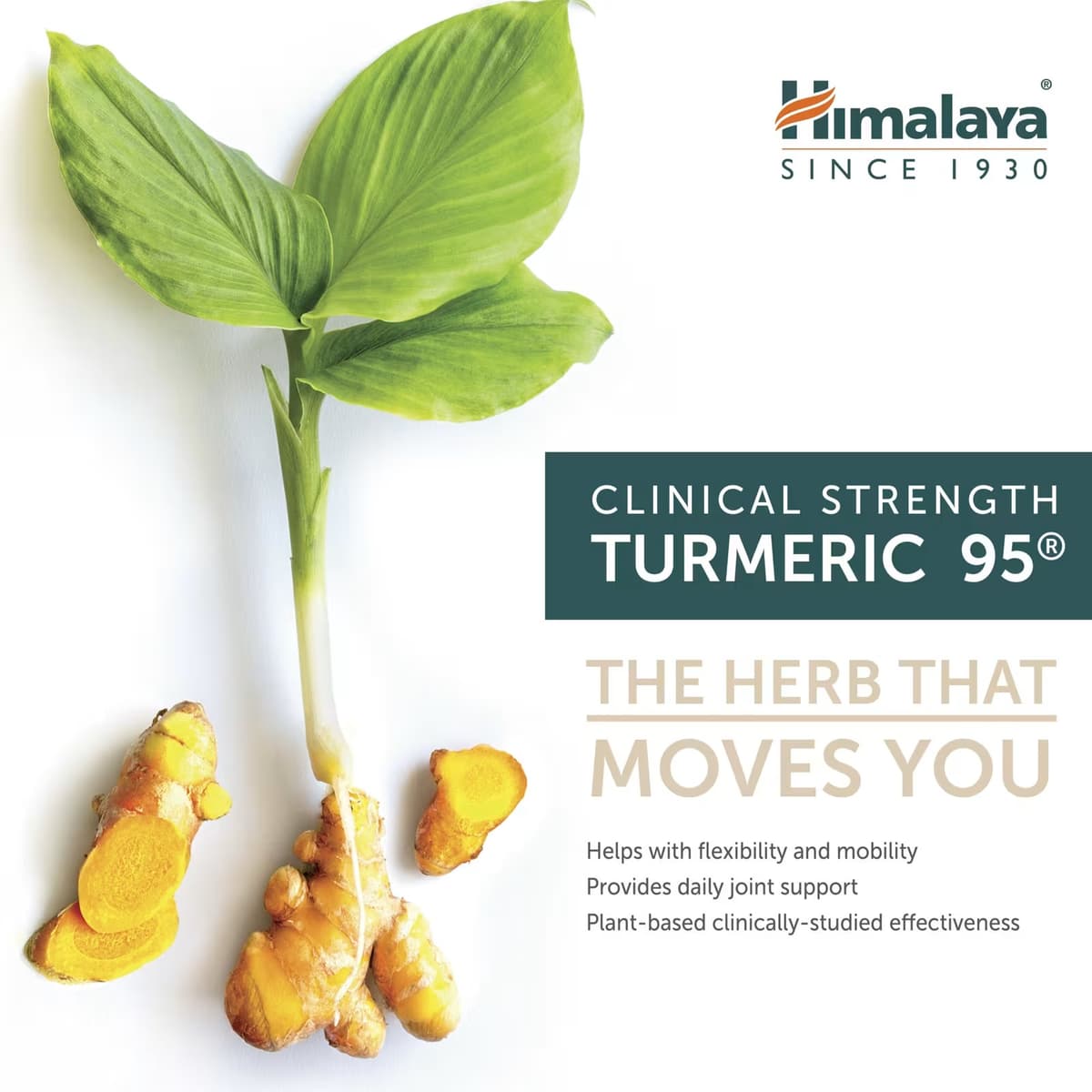 Himalaya Herbals - Turmeric 95 - 60 Kapsler