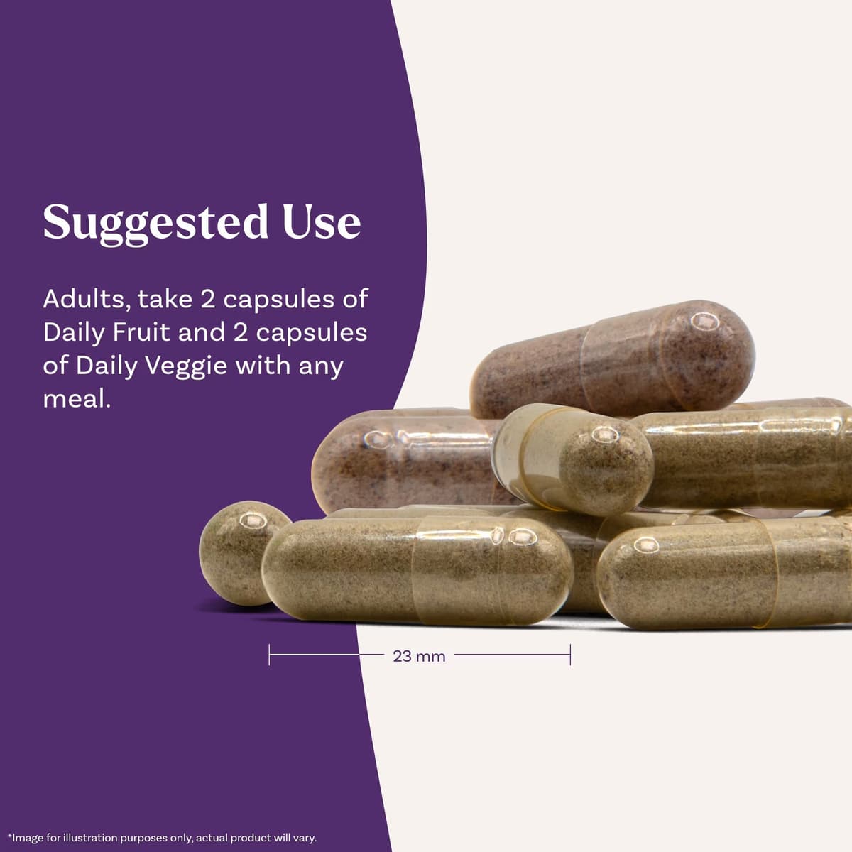 Natrol - JuiceFestiv - 60 + 60 Caps (Two 60 Capsule Bottles)
