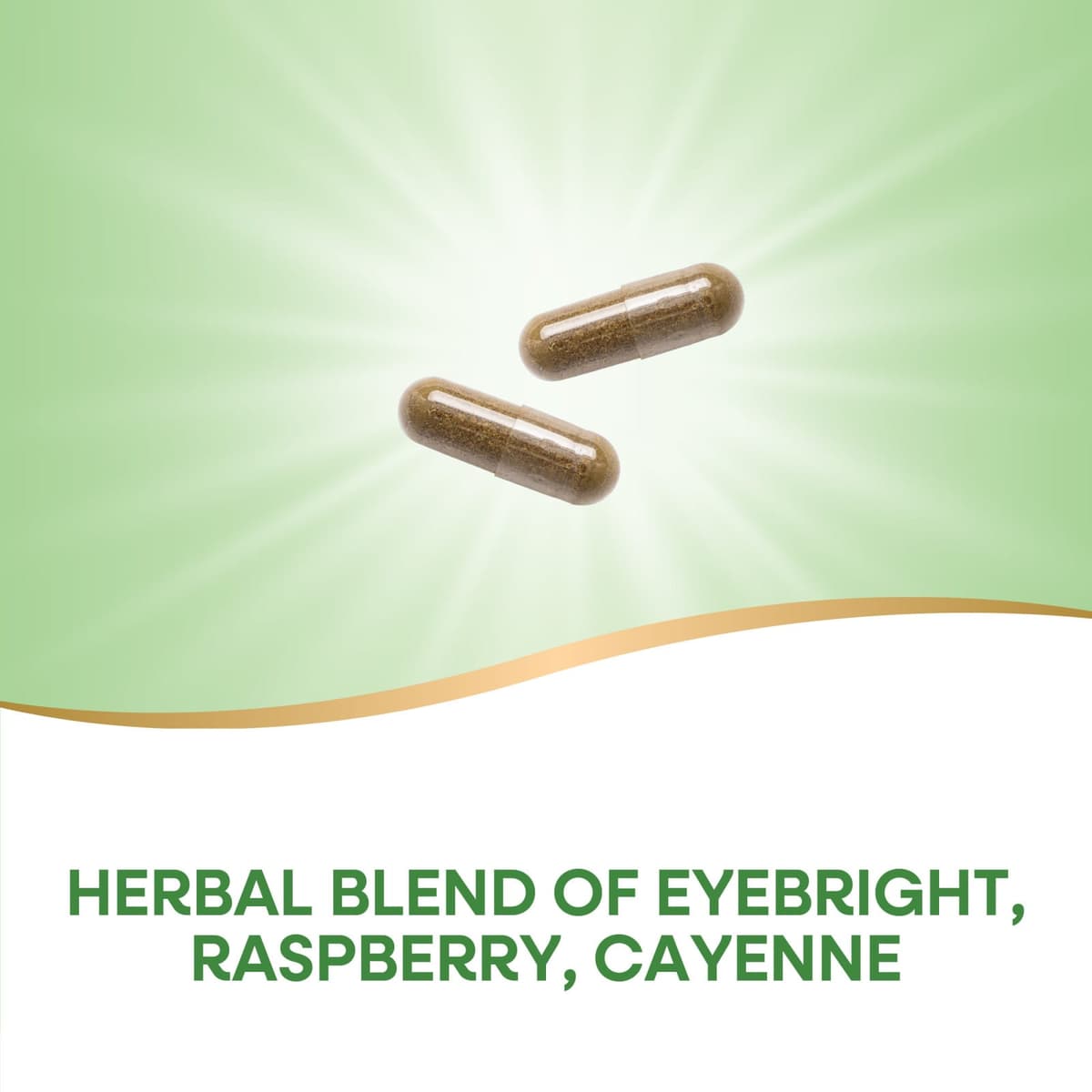 Nature's Way - Eyebright Premium Blend - 100 Caps