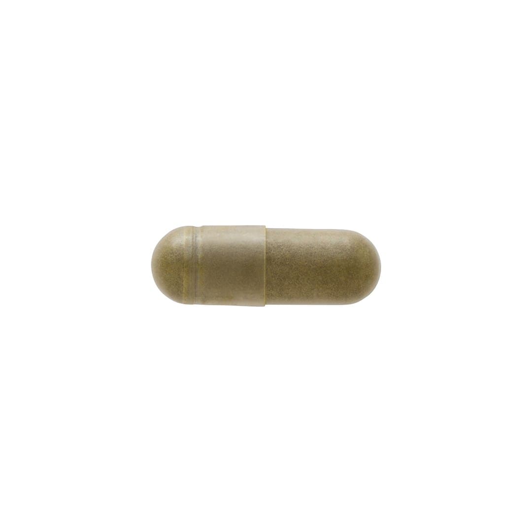 Swanson - Moringa Oleifera, 400mg - 60 Kapsler