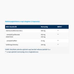 Usa Medical - Green Tea Extract - 60 Caps