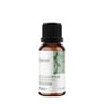 Ostrovit - Eucalyptus Essential Oil - 15ml