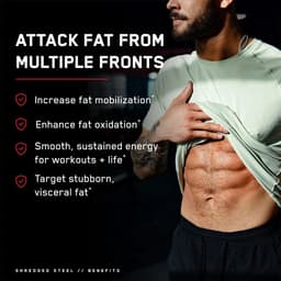 SteelFit - Shredded Steel
