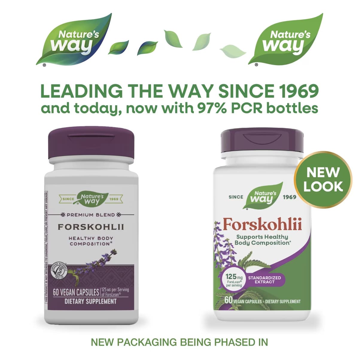 Nature'S Way - Forskohlii - 60 Caps