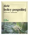 Flos - Mugwort Herb