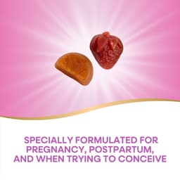 Daily Support Prenatal Gummy Multivitamin - 90 Gummies