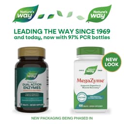 Nature's Way - Mega-Zyme Pancreatic & Systemic Enzymes
