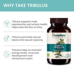 Himalaya - Organic Tribulus Men Libido Support - 60 Caplets