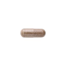 Swanson - Coleus Forskohlii - 60 Capsules
