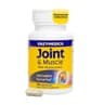 Enzymedica - Led & Muskel Pea Phytosome - 45 vcaps