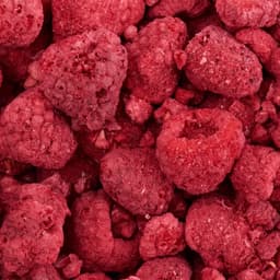 Vilgain - Freeze-Dried Raspberries - 100g
