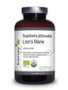 Kenay - Organic Lion's Mane