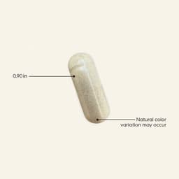 Codeage - Women'S Multivitamin 50+ - 90 Vegetable Caps