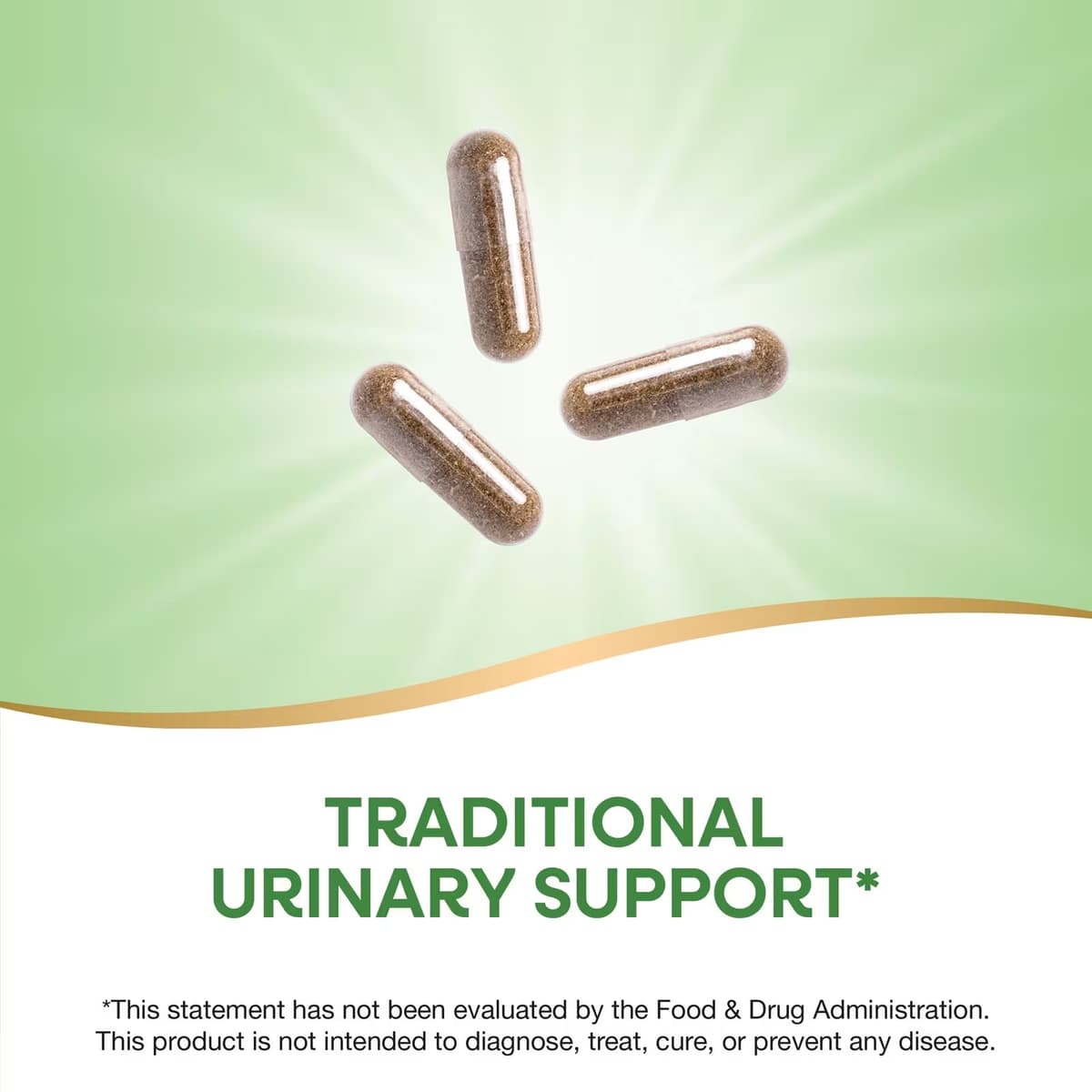 Nature's Way - Uva-Ursi Blade - 100 Vcaps