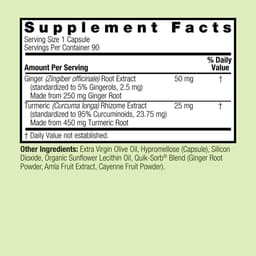 Nature'S Answer Turmeric And Ginger - 90 Vcaps
