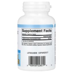 Natural Factors - L-Carnitine 500mg - 60 Vcaps