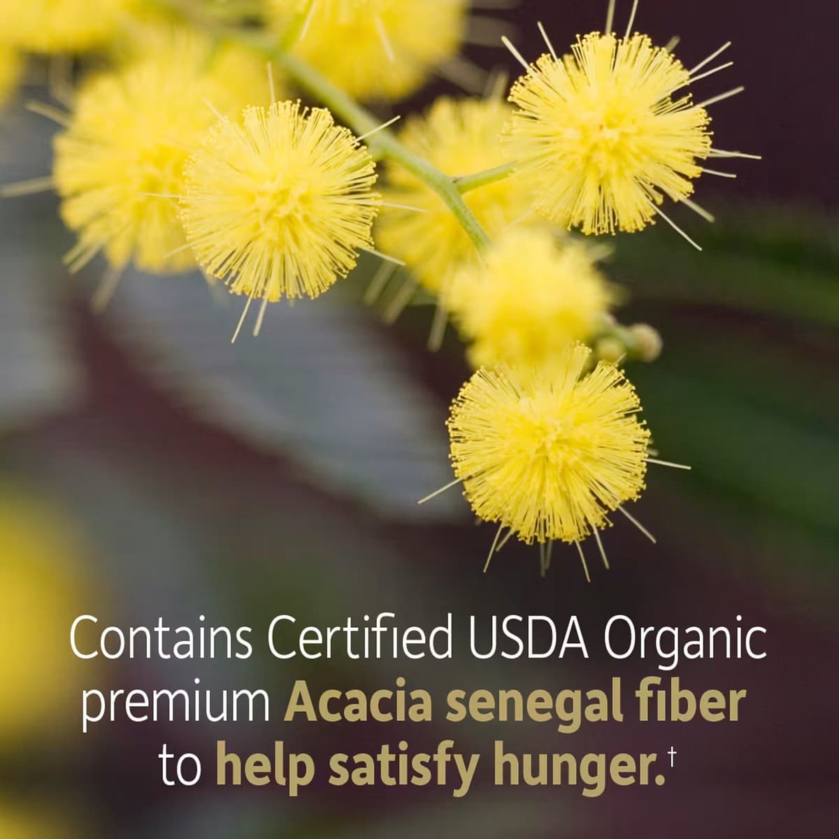 Garden Of Life - Dr. Formulated Organic Fiber - 192g