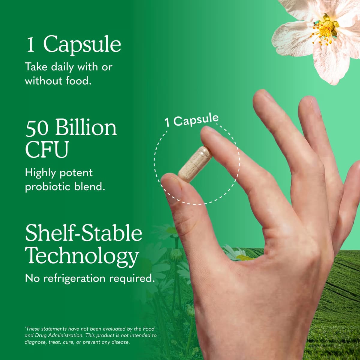 Garden Of Life - Raw Probiotics Colon Care - 30 Caps
