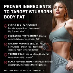 SteelFit - Shredded Steel