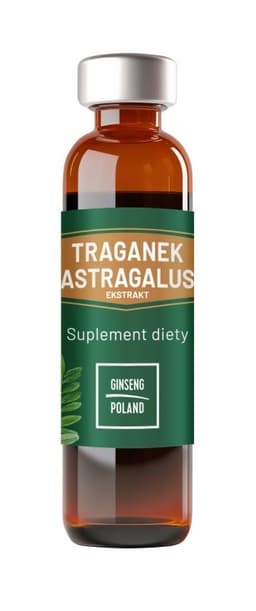 Ginseng Poland - Astragalus Extract - 10 x 10ml
