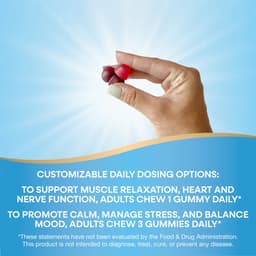 Nature's Way - Magnesium Gummy - 60 Gummies