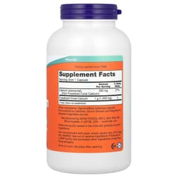 NOW Foods - Coral Calcium - 250 Vcaps
