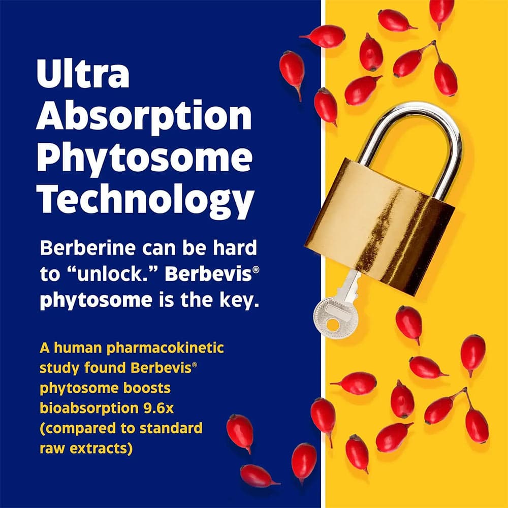 Enzymedica - Berberine Phytosome - 60 Caps