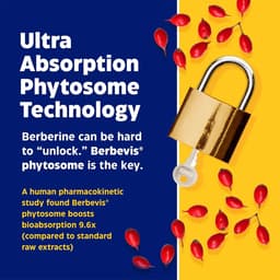Enzymedica - Berberine Phytosome - 60 Caps